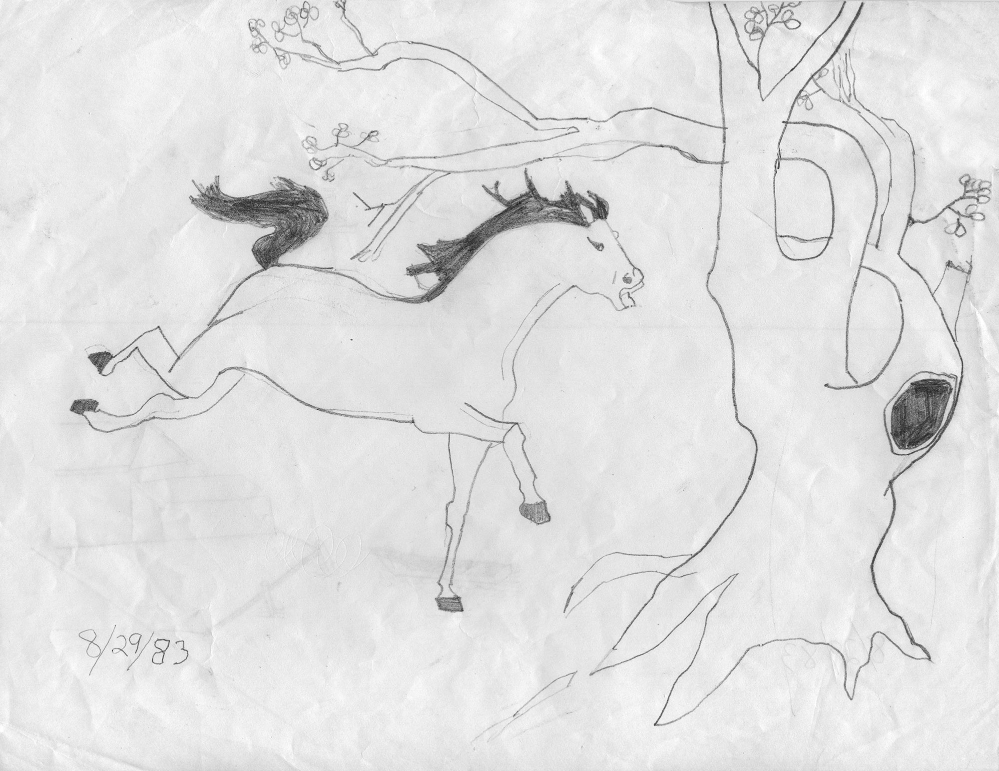 1983_08_29_HORSE_AT_KYLES_8.5x11_sm2k