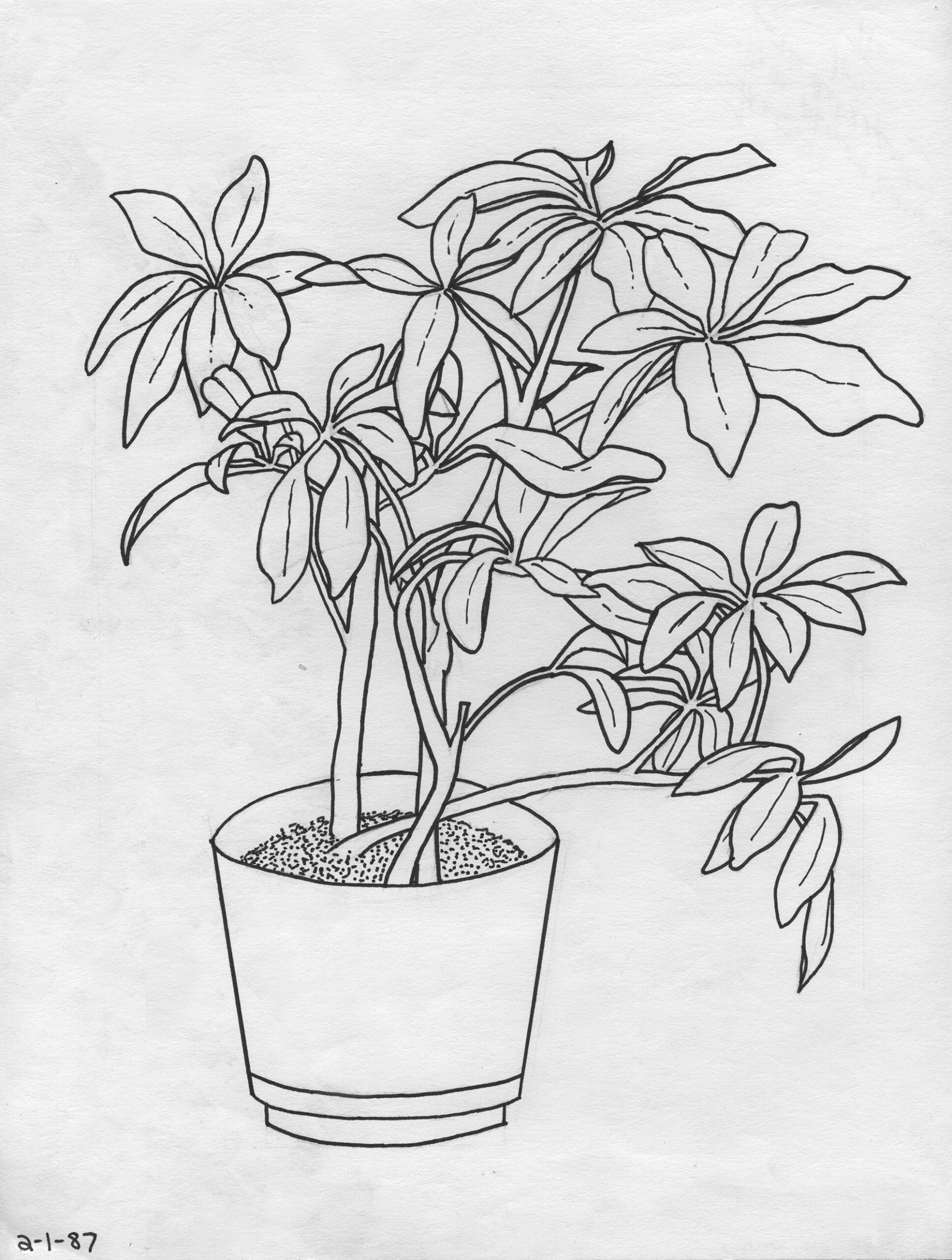 1987_02_01_PLANT_8.5×11.5_sm2k-1