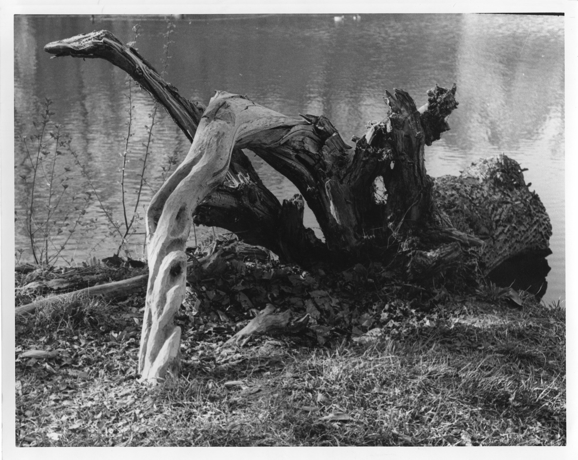 1994_PHOTO_LAKE_SCULPTURE_sm2k